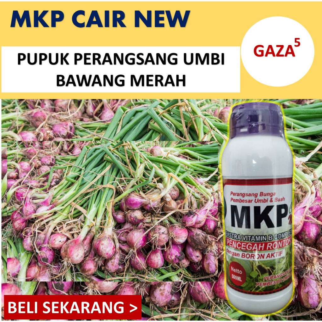 terlaris gaza mkp cair 500 ml pupuk pembesar umbi bawang merah - pupuk tanaman bawang merah - pupuk 