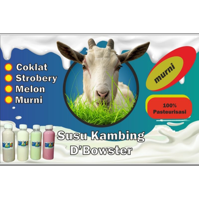 

Susu kambing pasteurisasi