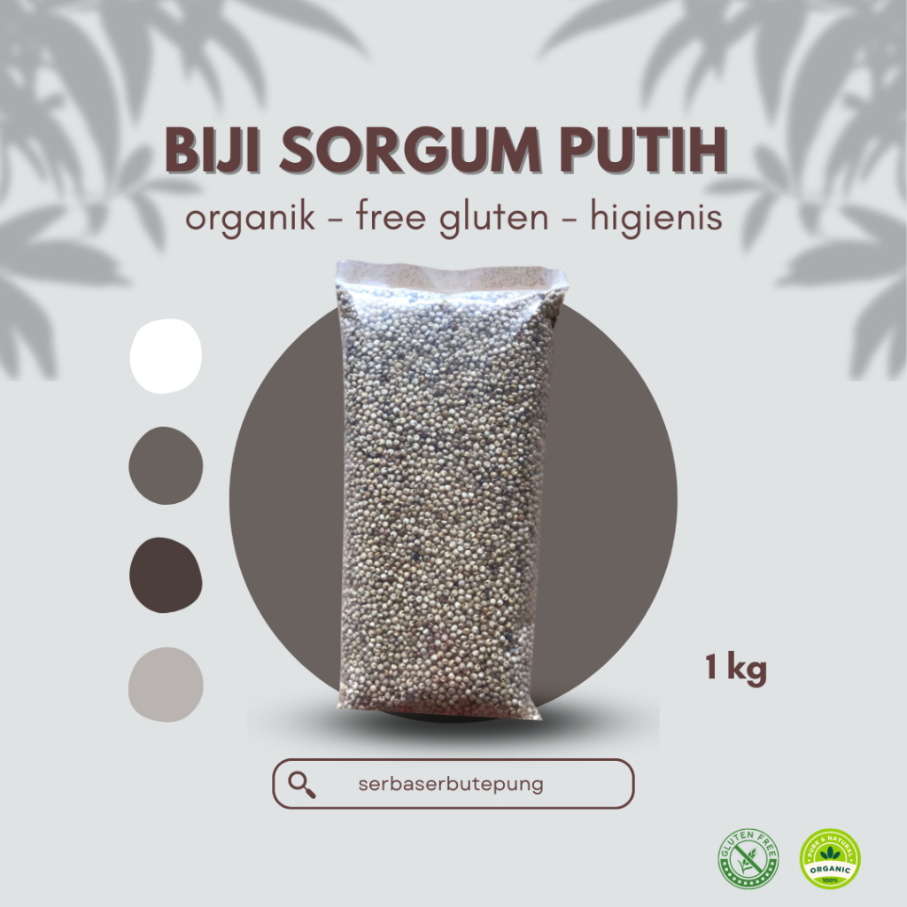 

Biji Sorgum Putih (1kg) | biji sorgum|biji sorgum putih