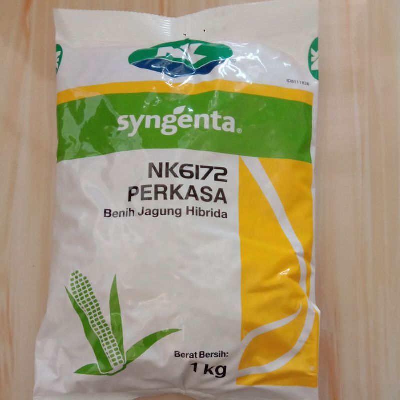 Benih Jagung Hibrida NK6172 PERKASA
