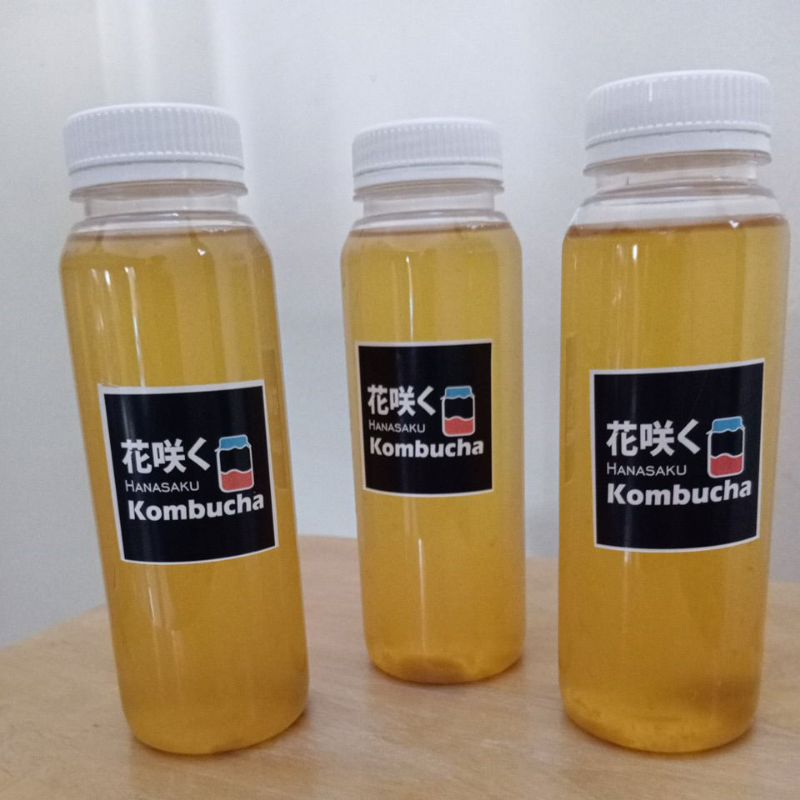 

Kombucha, Teh fermentasi