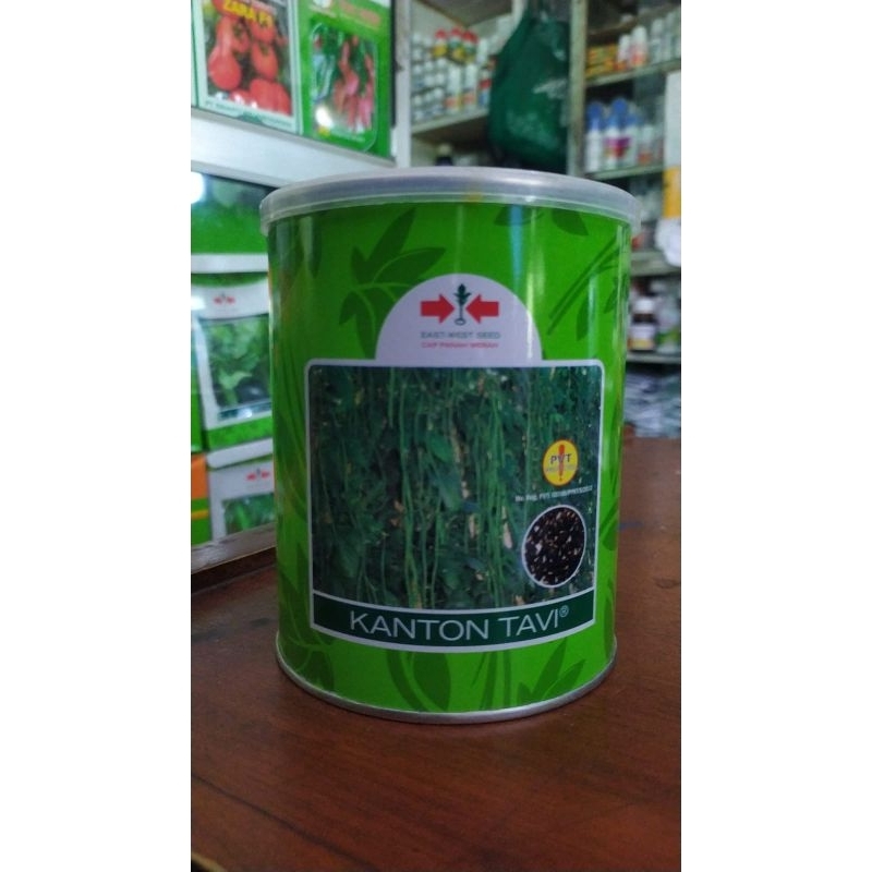 

kacang panjang kanton tavi panah merah#original