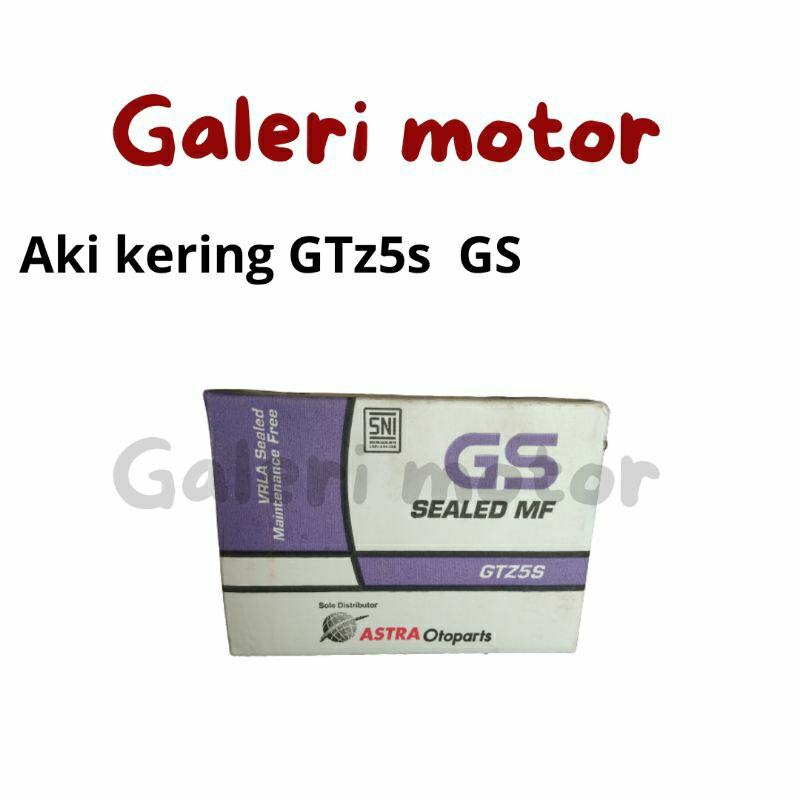 aki gs kering gtz5s