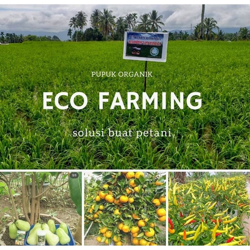 ECO FARMING ORIGINAL