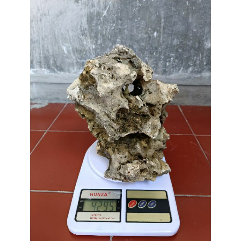 BATU KARANG GUNUNG/BATU BONSAI