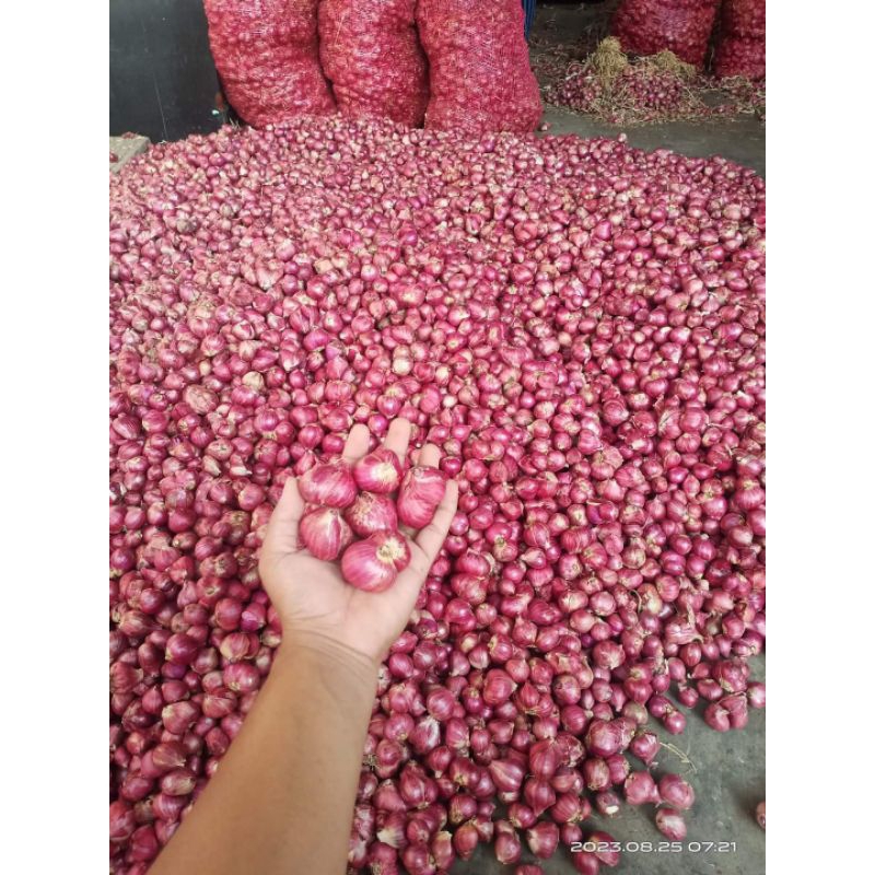 bawang merah probolinggo dan brambang india/bawang merah india 1kg