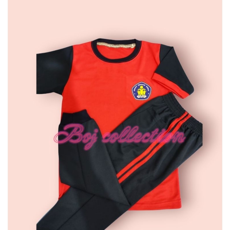 stelan kaos seragam olahraga sekolah anak SD/MI