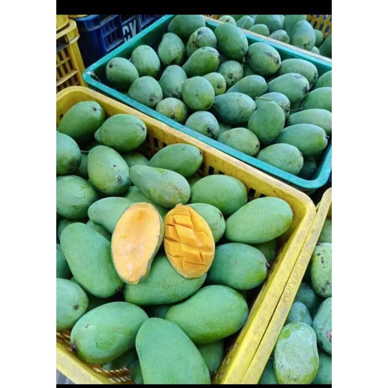 

MANGGA GADUNG / HARUM MANIS TUA 1000gram