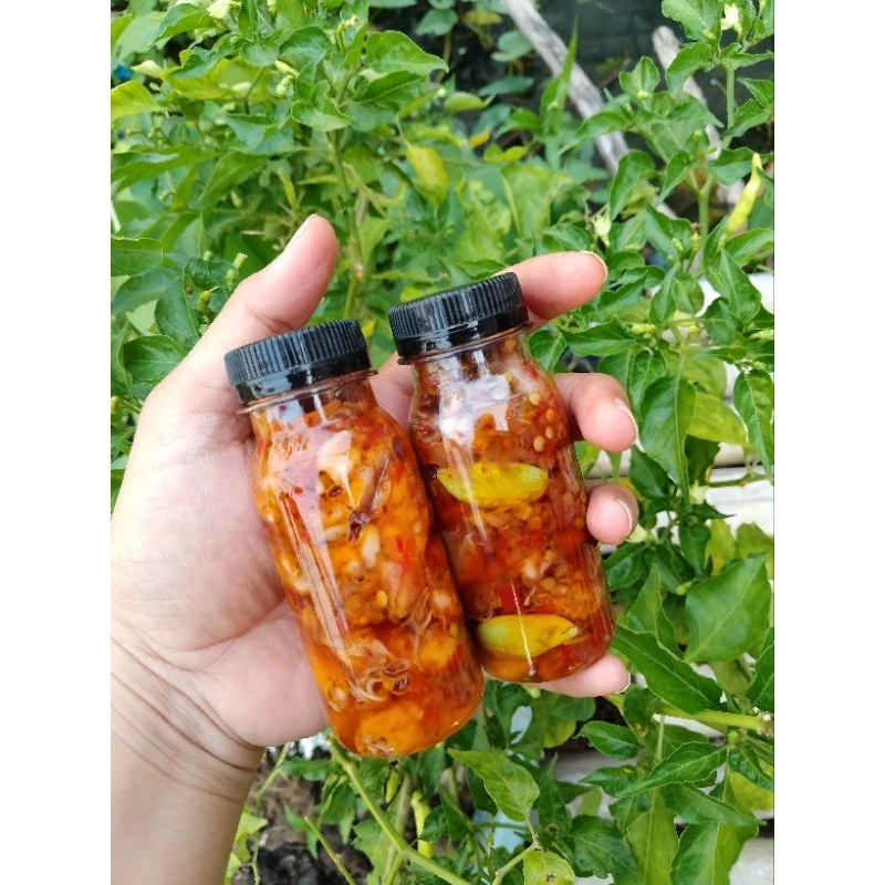 

sambal baby cumi 150ml