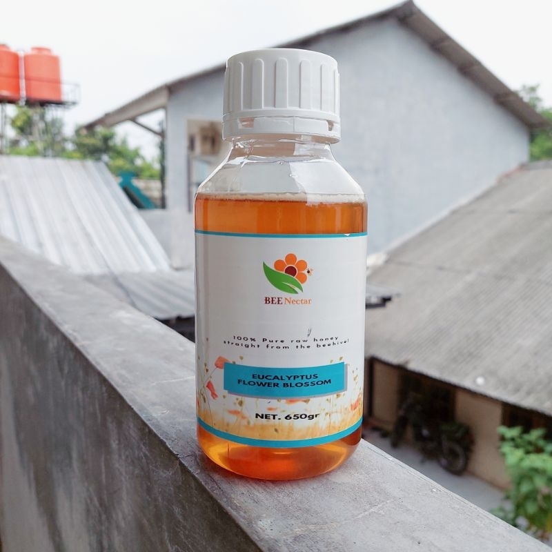 

Madu Kayu Putih 650 Gram / Raw Honey / Eucalyptus Flowers Blossom