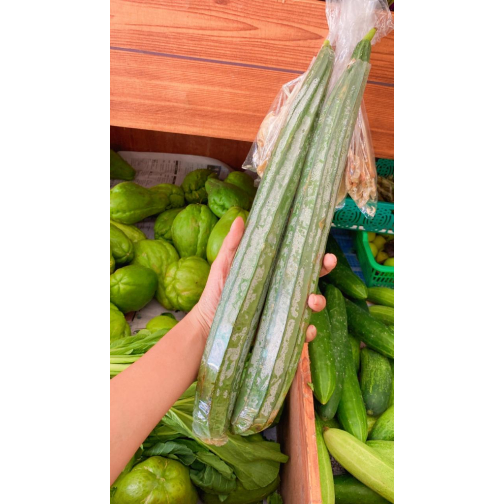 

OYONG SEGAR 500 GRAM