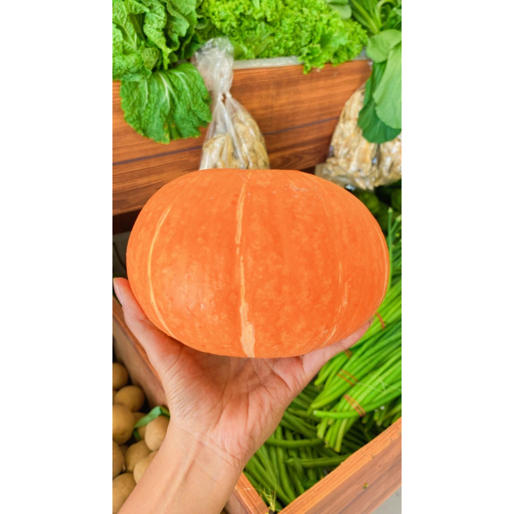 

Labu Kuning Kabocha 800 GRAM - 1 KG