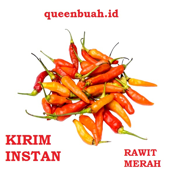 

QUEENBUAH - Cabe / Cabai Rawit Merah pedas super harga grosir murah