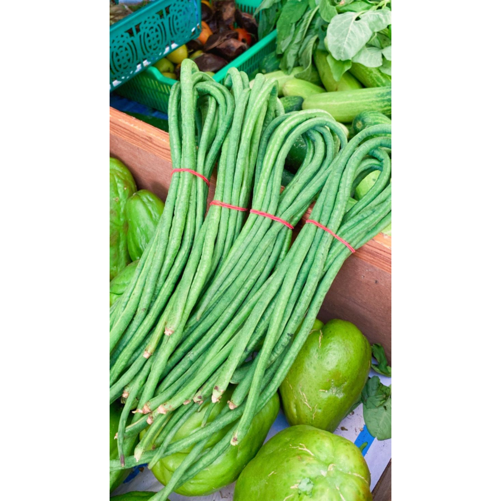 

KACANG PANJANG SEGAR 250 GRAM