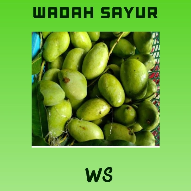 

Mangga Muda Rujak ( 1 Kilo ) | Wadah Sayur Bogor