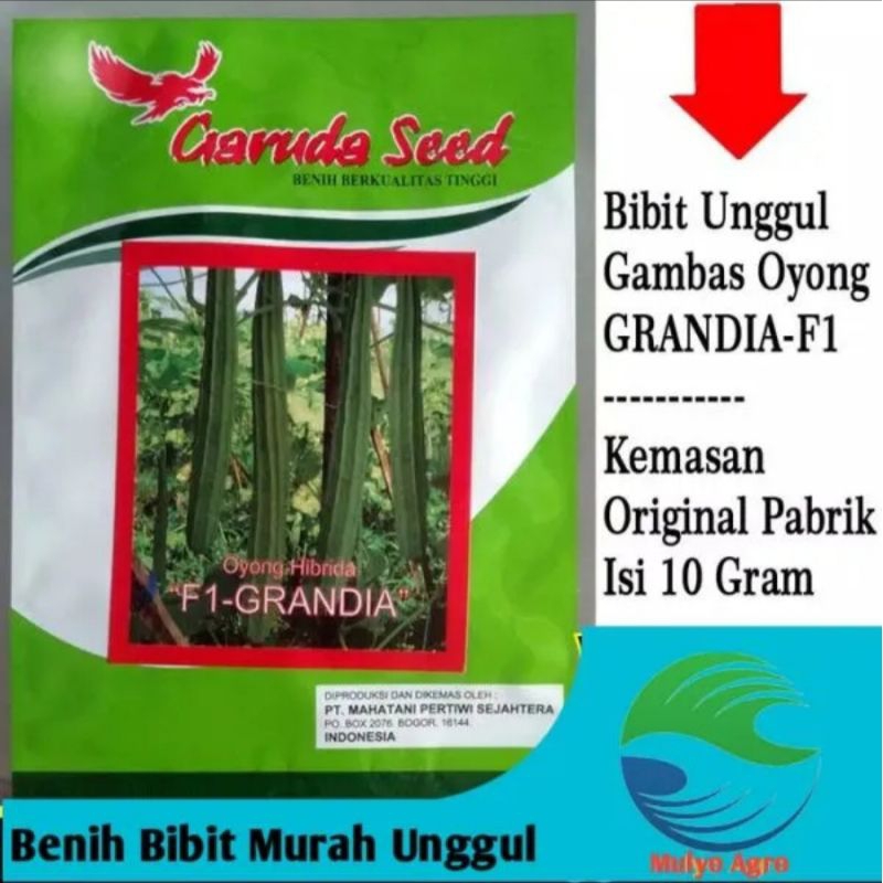 Benih Oyong Bibit Oyong GRANDIA F1 10 gr GARUDA SEED