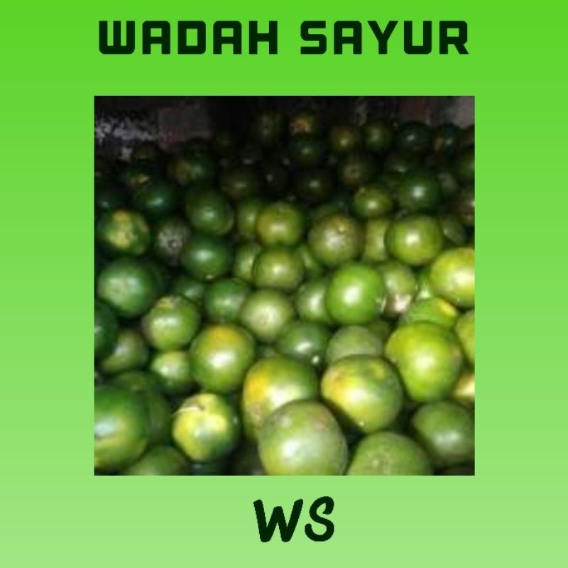 

Jeruk Peras Segar ( 500 Gram ) | Wadah Sayur Bogor