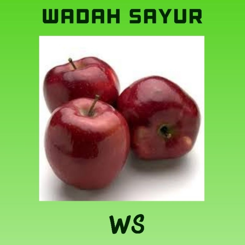 

Apel Merah Segar ( 1 Kilo ) | Wadah Sayur Bogor