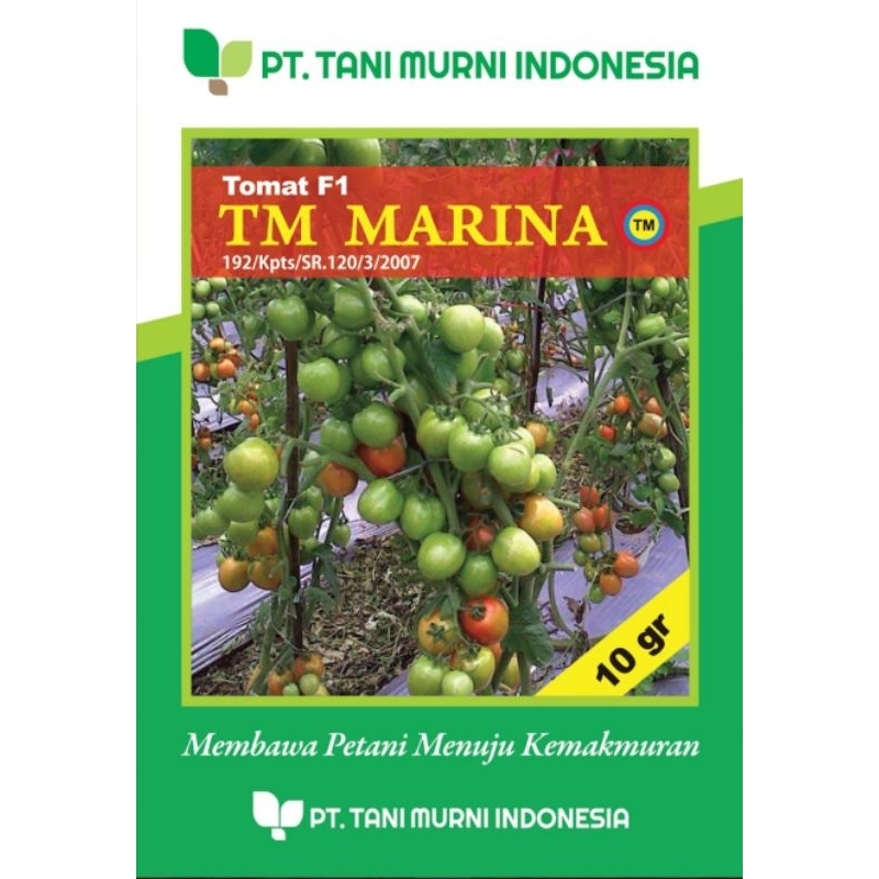 TM MARINA || Tomat Determinate/Sayur || Tani Murni 5 gr