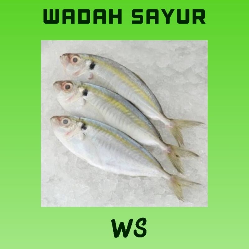 

Ikan Selar Kuning Segar ( 500 Gram ) | Wadah Sayur Bogor