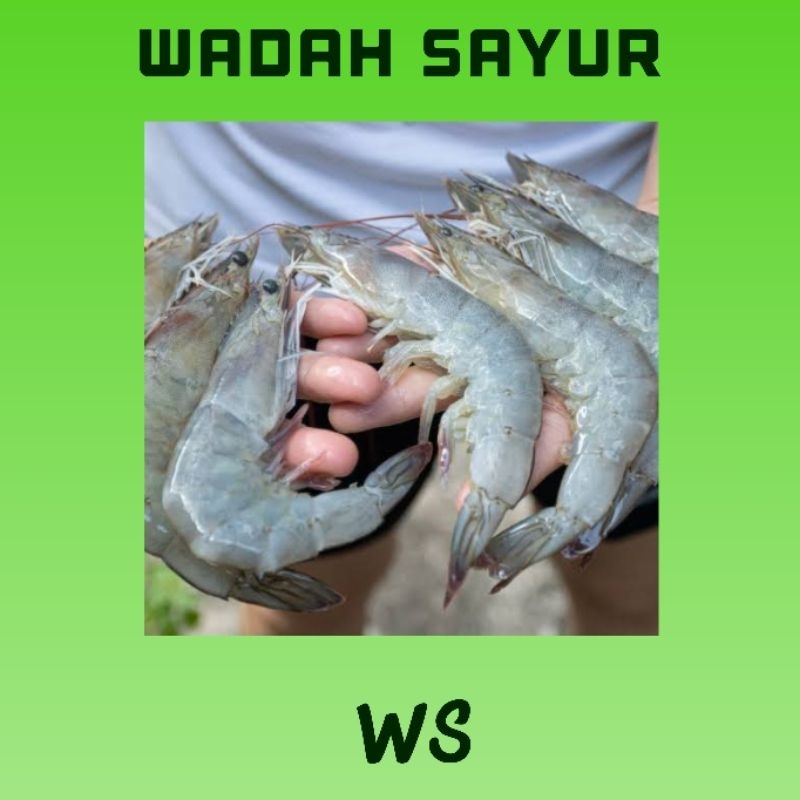 

Udang Vaname Segar ( 250 Gram ) | Wadah Sayur Bogor