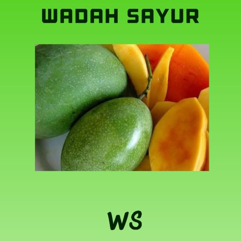 

Mangga Manalagi/Madu ( 1Kilo ) | Wadah Sayur Bogor