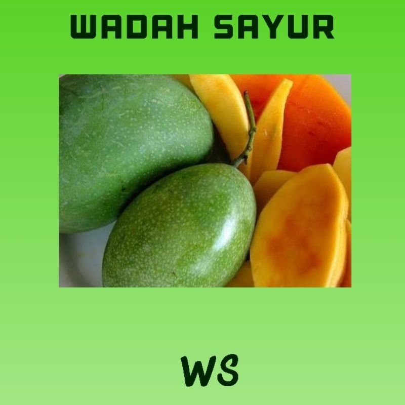 

Mangga Manalagi/Madu ( 500 Gram ) | Wadah Sayur Bogor