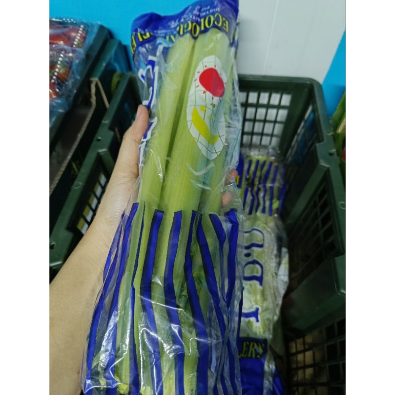 

Celery RRC / Seledri / kg