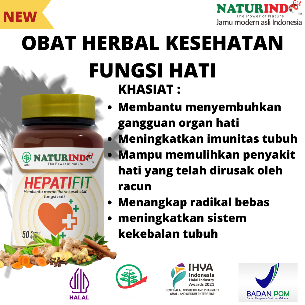 Obat Liver Batu Empedu Alergi Bersih Darah Biduran Herbal Hepatifit Naturindo