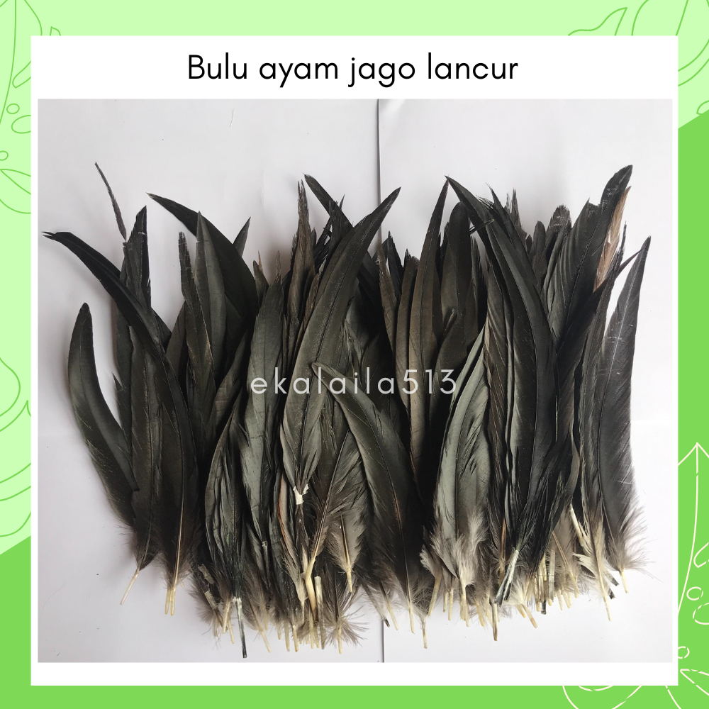 BULU AYAM JAGO LANCUR JANTAN ASLI HALUS WARNA WARNI PANJANG - BAHAN AKSESORIS HIASAN KEPALA BANDO MA