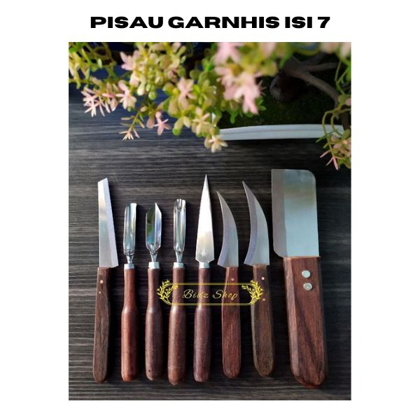 

Pisau Ukir Serbaguna/ pisau garnish / pisau carving / pisau 1 set isi 7