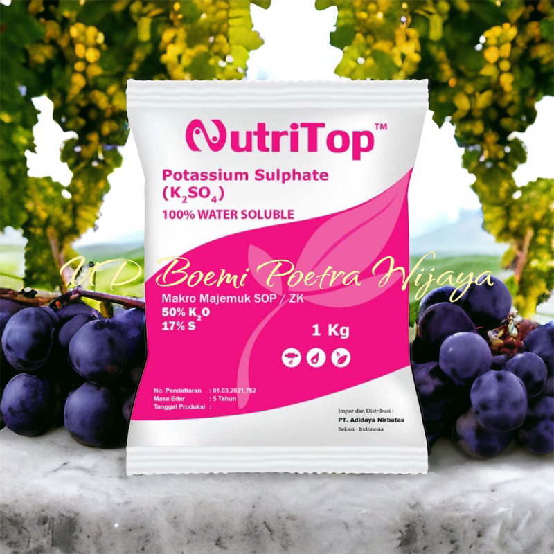 PUPUK NUTRITOP K2SO4