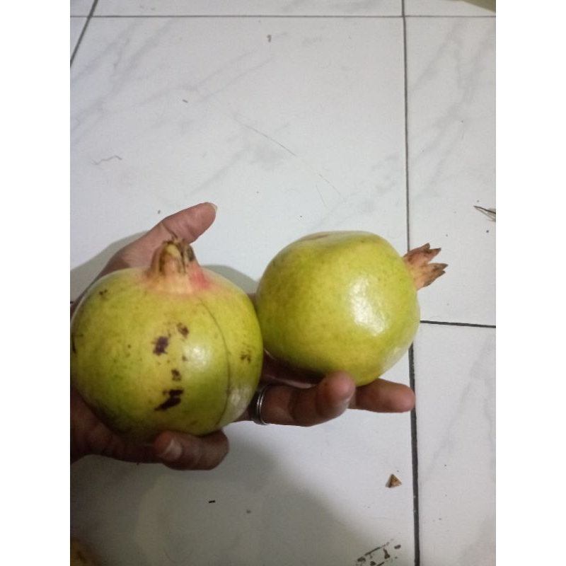 Buah delima 1kg jamu herbal alami