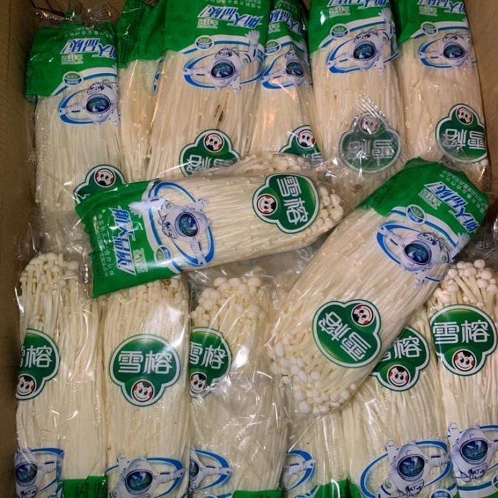

Trustedshop - Jamur Enoki Astro Mushroom Segar Fresh China 1 Dus
