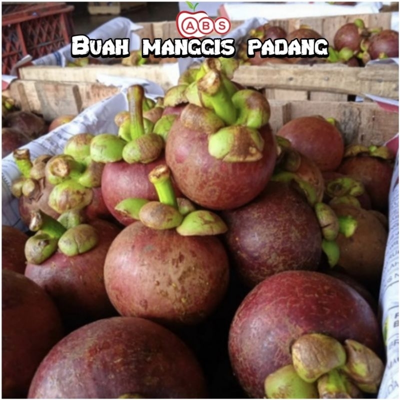 

Buah manggis padang 1KG buah manggis manis grade A