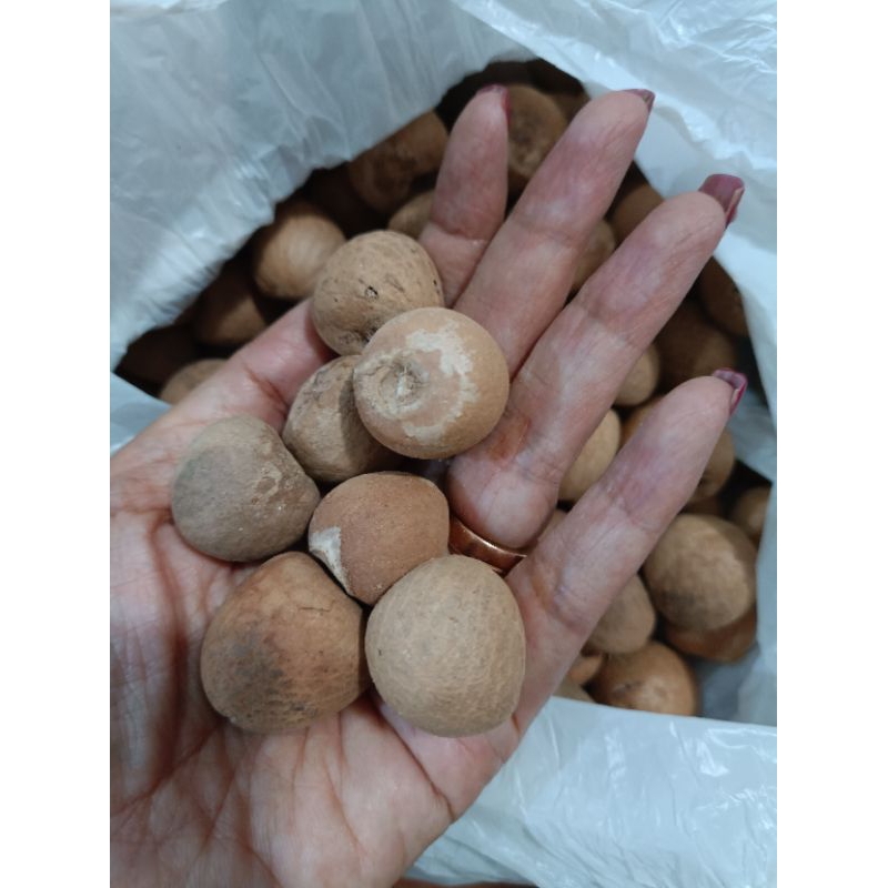

Buah pinang kering 100gr