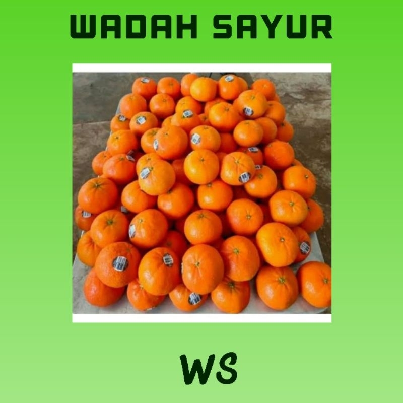 

Jeruk Santang ( 1 Kilo ) | Wadah Sayur Bogor