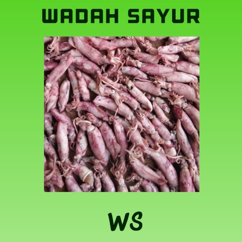 

Cumi Asin ( 100 Gram ) | Wadah Sayur Bogor