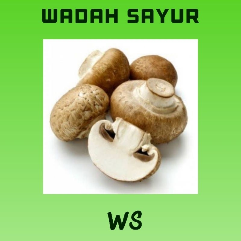 

Jamur Kancing ( 250 Gram ) | Wadah Sayur Bogor