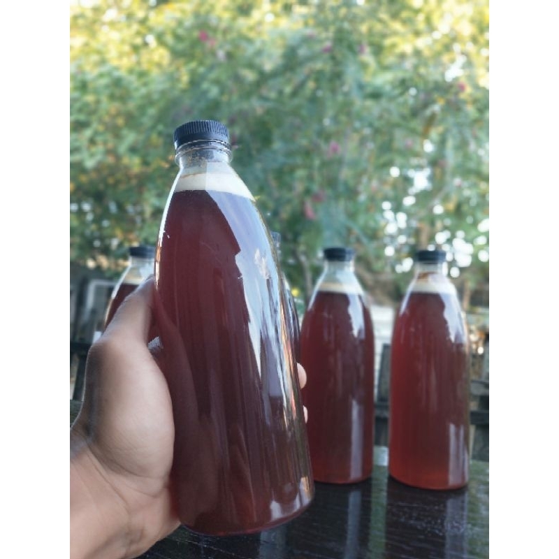 

Madu hutan asli NTT