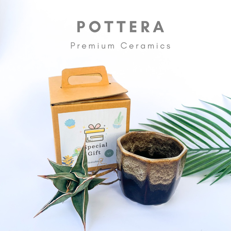Pot keramik segi 8 / Pot keramik kaktus / pot keramik bonsai / pot keramik premium