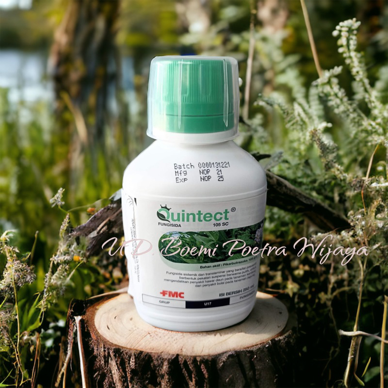FUNGISIDA QUINTECT 105EC 250ml