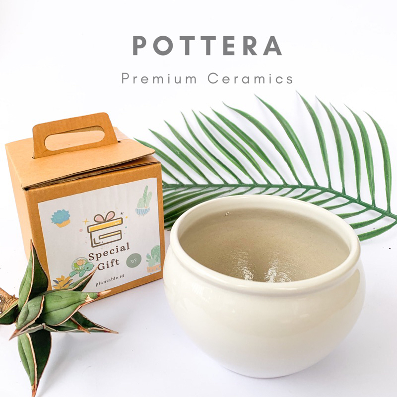 Pot Keramik / Pot keramik Premium / Pot keramik Bonsai / Pot keramik kaktus