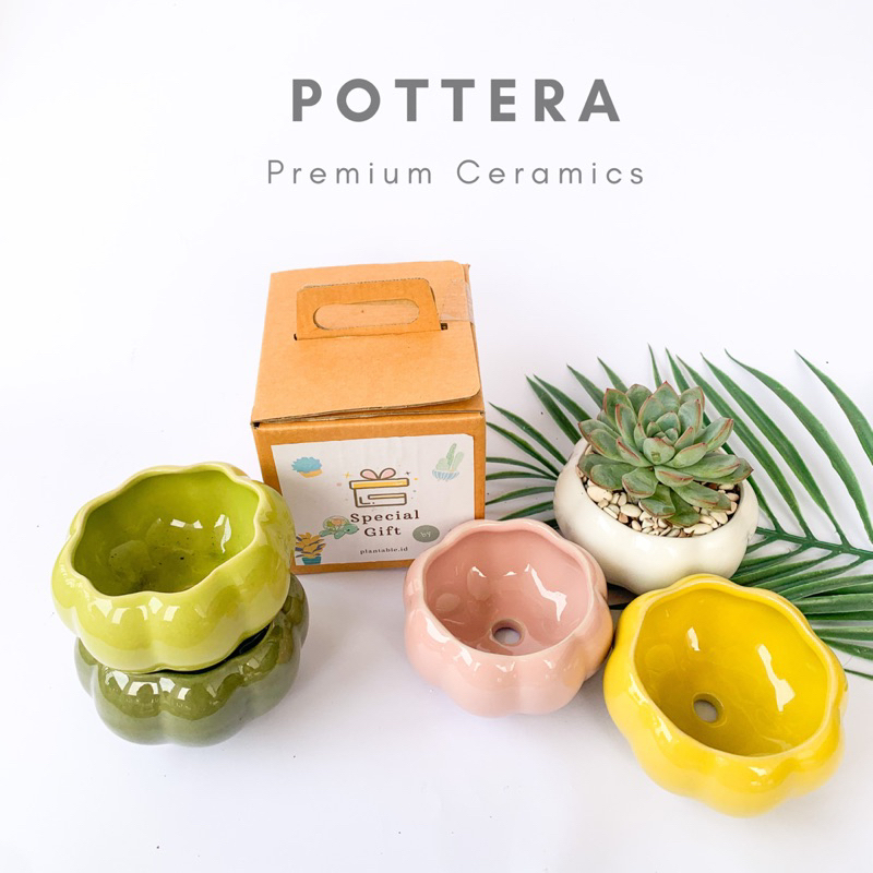 Pot Keramik Kaktus / Pot Keramik Sukulen / Pot Keramik Labu