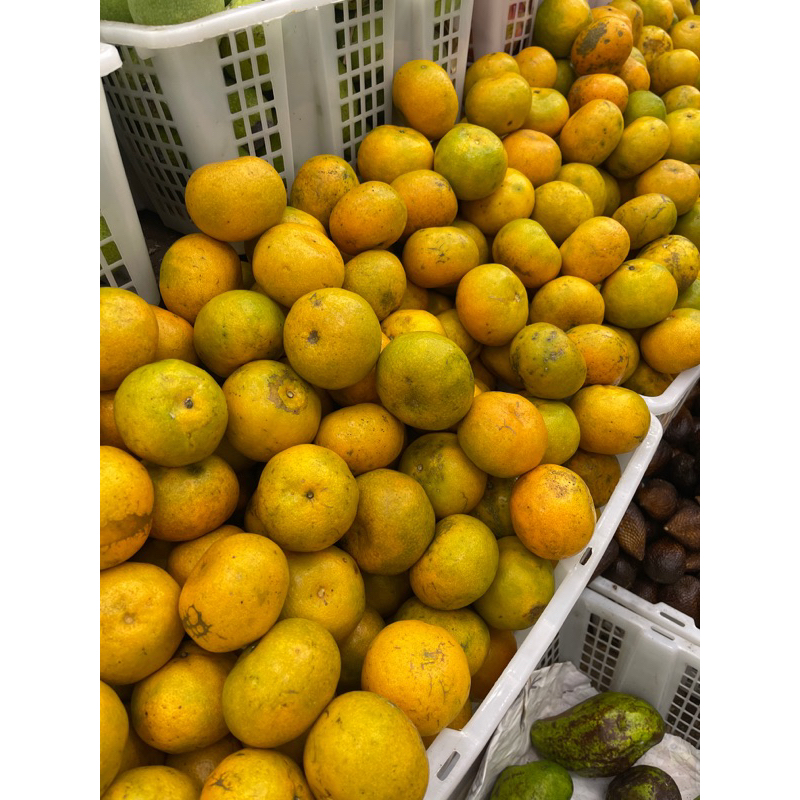 

JERUK MEDAN KULITNYA WRNA IJO ya