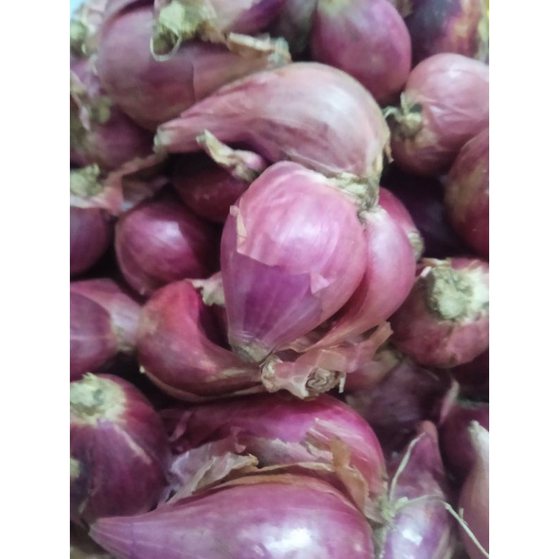 

Bawang merah brebes 1/2kg