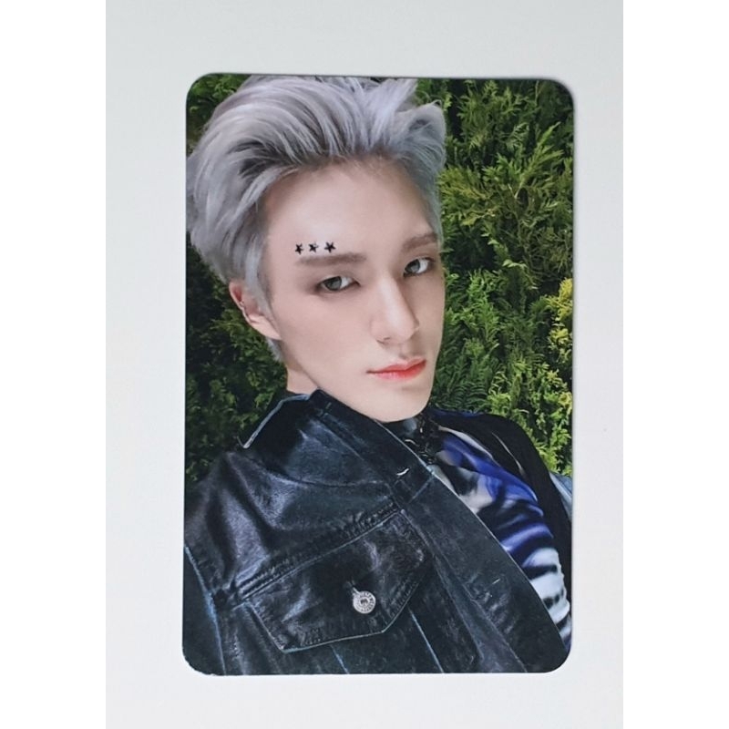 pc jeno pob everline istj pc jeno bene everline istj pc jeno alucard photocard jeno pob everline ist