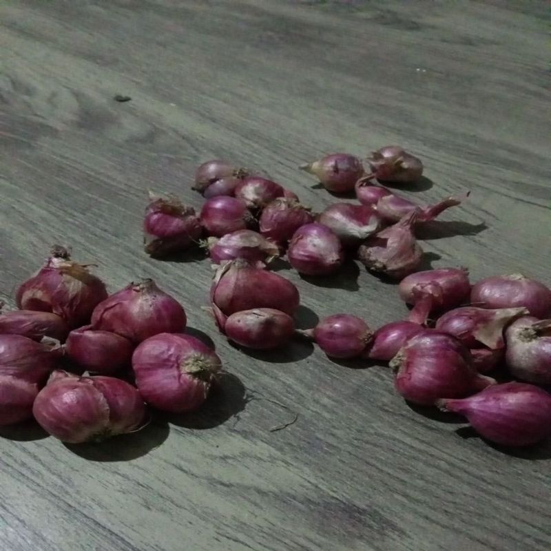 

Bawang Merah