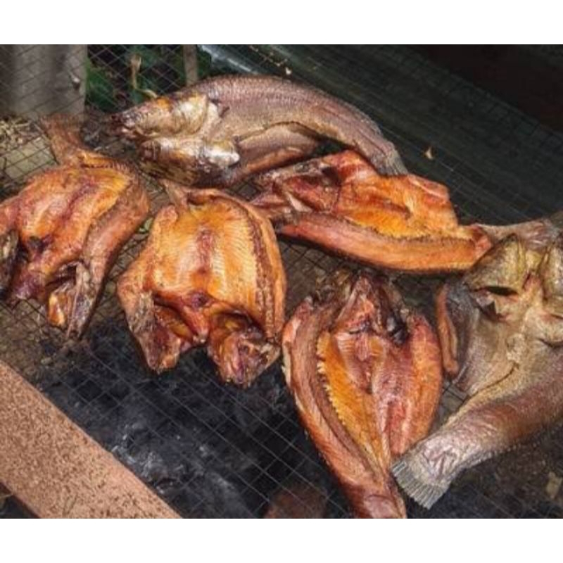 

salai ikan gabus