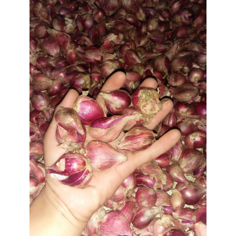 

Bawang merah Brebes super berat 1Kg